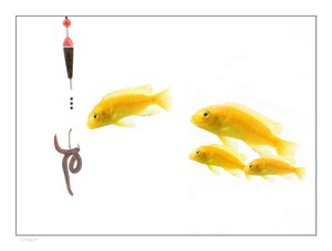 绿色供应链